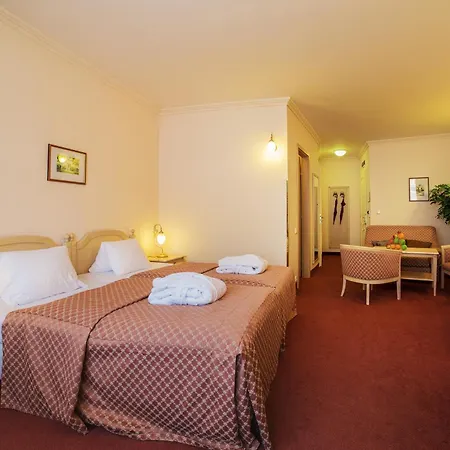 Interhotel Central-3