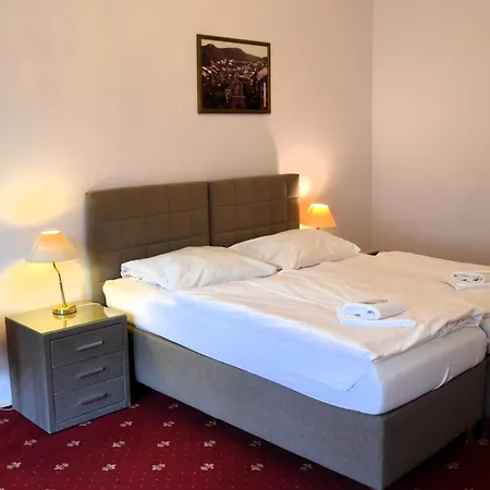 Hotel Palacky-2